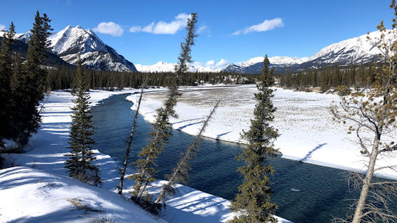 Kootenay Plains Ecological Reserve