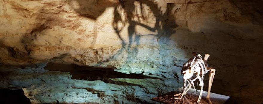 Victoria Cave