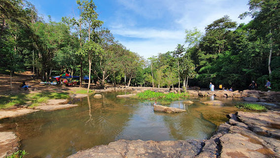 Than Thong Waterfall: Aganope cf balansae
