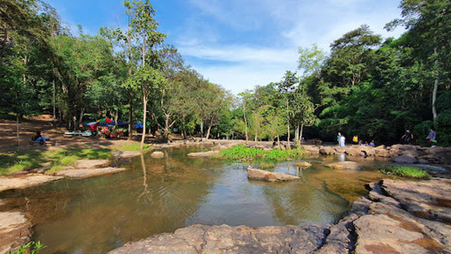 Than Thong Waterfall: Aganope cf balansae