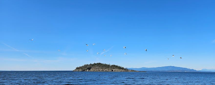Cottam Point