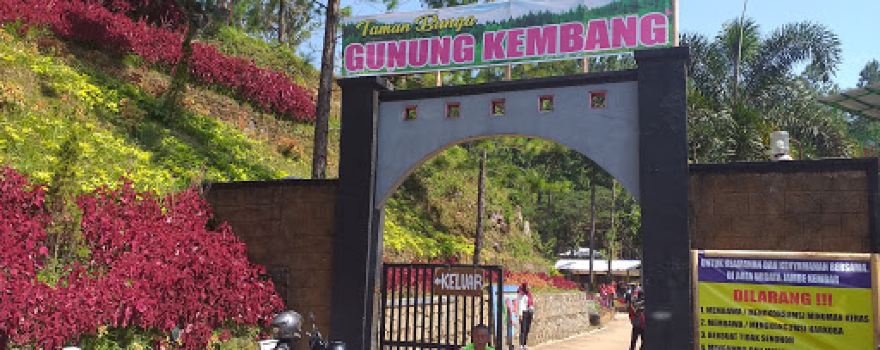 Kolam Renang Jambe Kembar