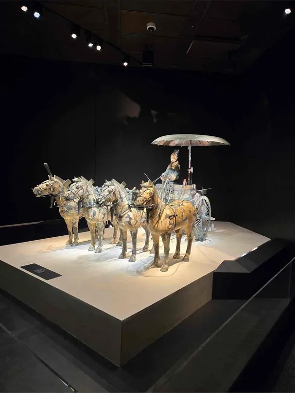 4_Houston Museum of Natural Science