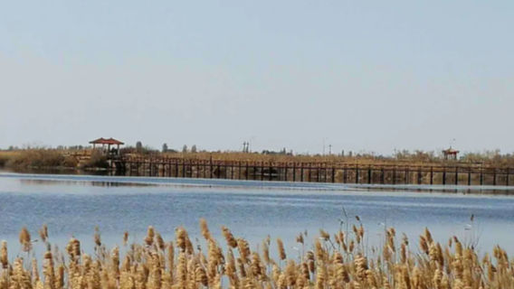 Wujiaqu