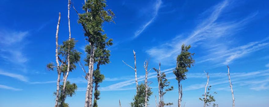 Opawskie Mountains Landscape Park