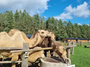 Rakši ZOO