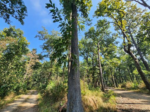 Bardiya National Park