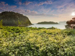 Parc national du Bic