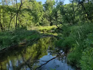 Joy Springs County Park