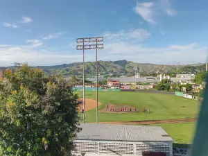 Estadio Francisco de Miranda