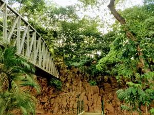 Cuevas Tolú Viejo