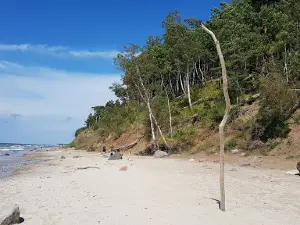 Olandų kepurės skardis