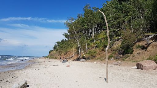Olandų kepurės skardis