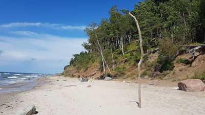 Olandų kepurės skardis