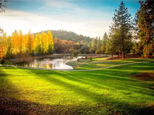 Tall Pines Players Club