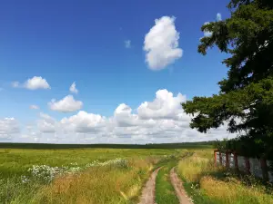 Могила Бутлерова