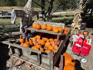 Cedar Hill Farm, The Barn.