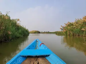 Mangalajodi Bird Watching Tower