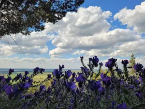 Galore Hill Lookout