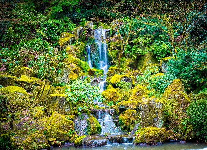 Suceava to Portland Flights