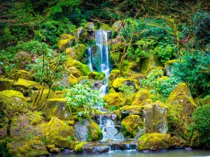 Portland Japanese Garden