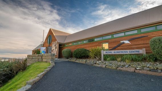 Royal Albatross Centre