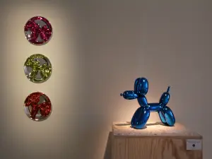 Museum National Adrien Dubouche