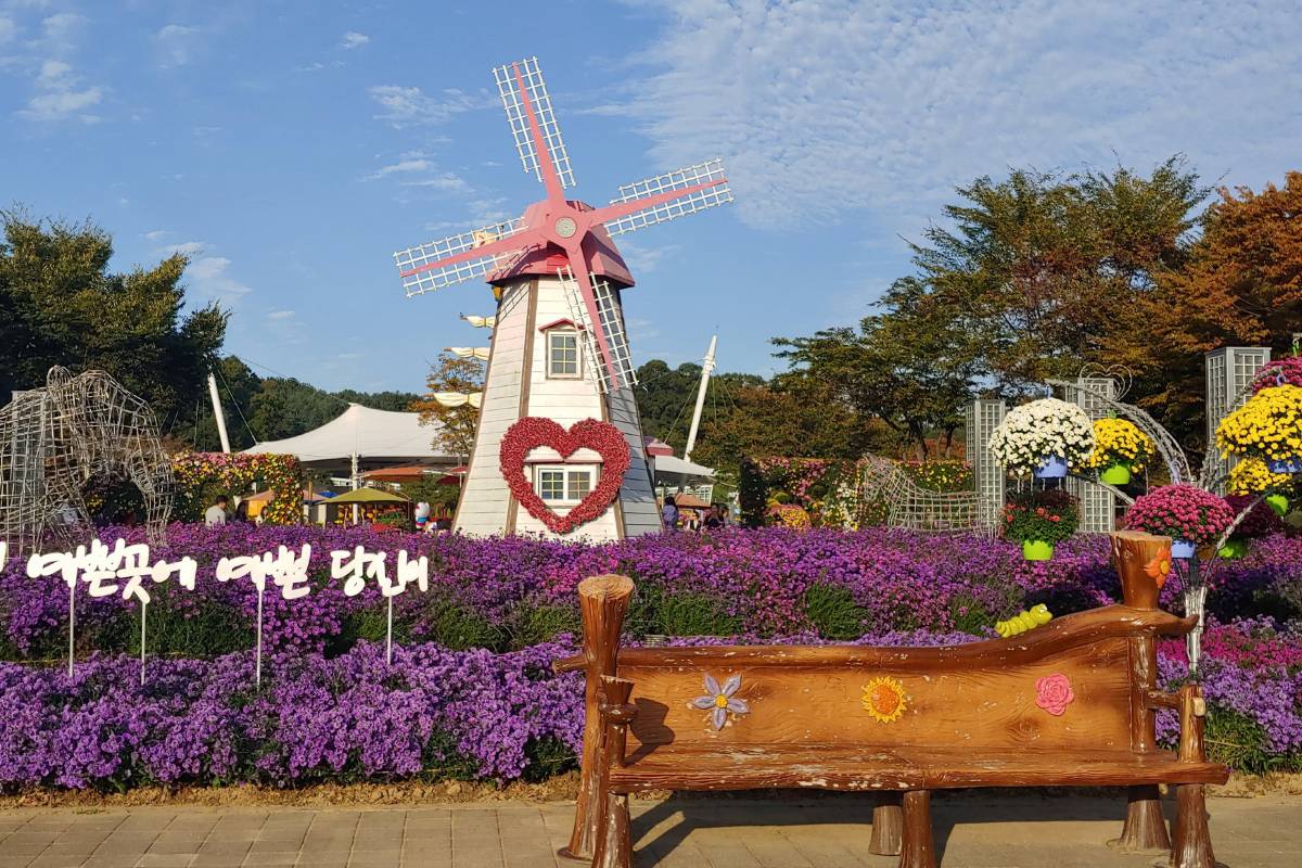 대전 여행코스 대전오월드