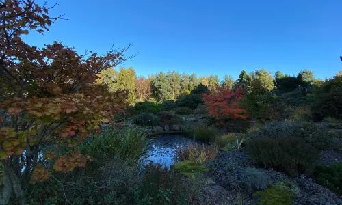 Royal Botanic Garden Edinburgh