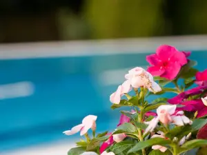 Brigetio Thermal Bath Komarom