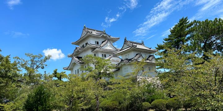 Iga Ueno Castle