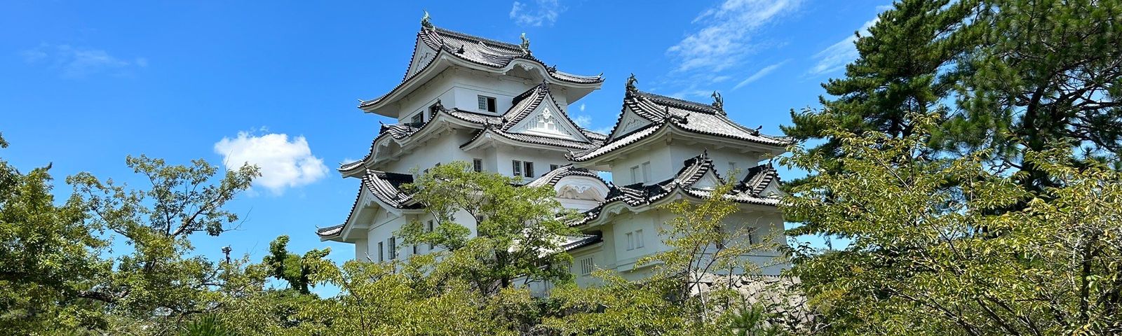 伊賀市日遊