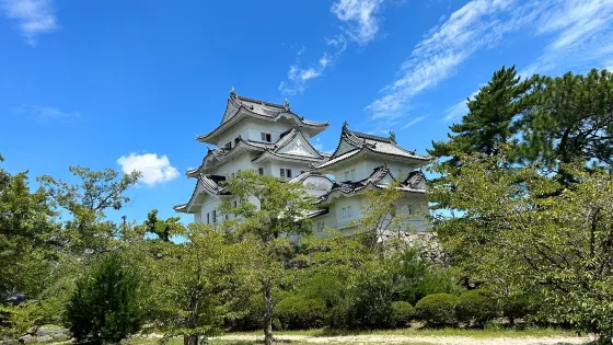 上野城