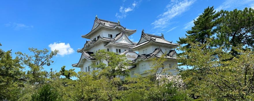 Iga Ueno Castle