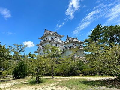 Iga Ueno Castle