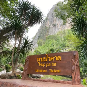 หุบป่าตาด