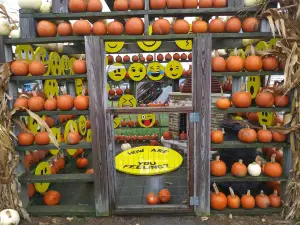 Johnson's Pumpkin Farm