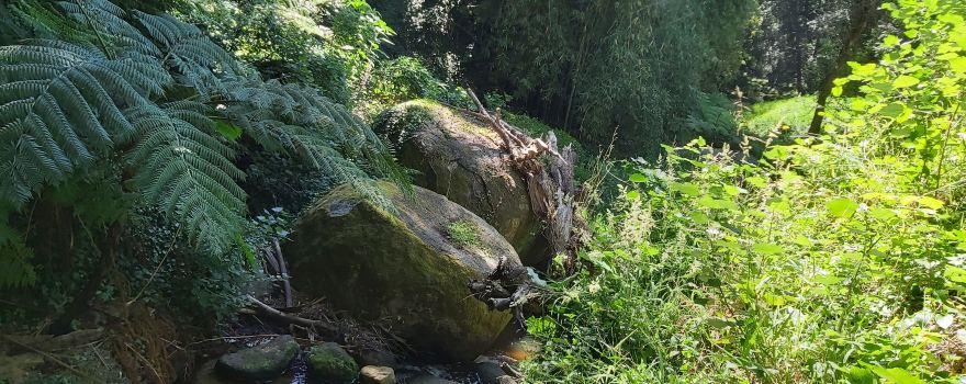 Alphen Trail