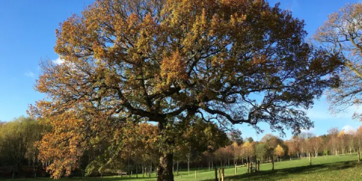 坎諾克·契斯區