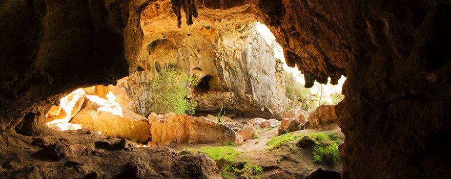 Borenore Karst Conservation Reserve