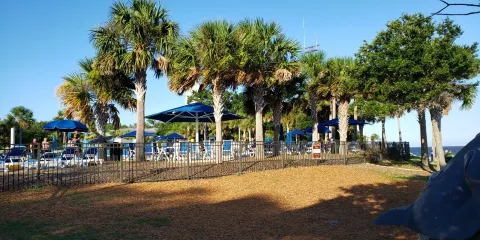 Neptune Park