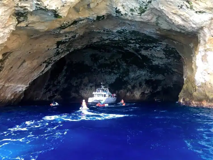 Tutukaka