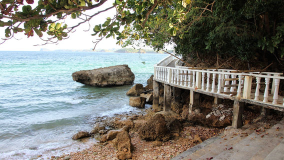 NEGROS FORESTS AND ECOLOGICAL FOUNDATION,INC.