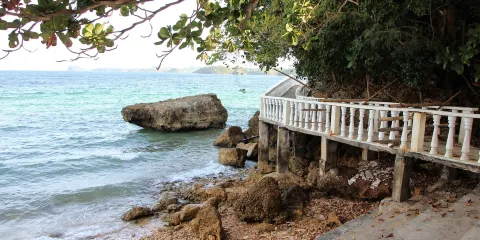 Negros Forests and Ecological Foundation Biodiversity Conservation Center