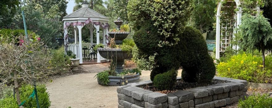 The Water Conservation Garden