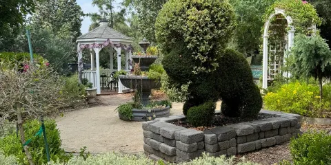 The Water Conservation Garden