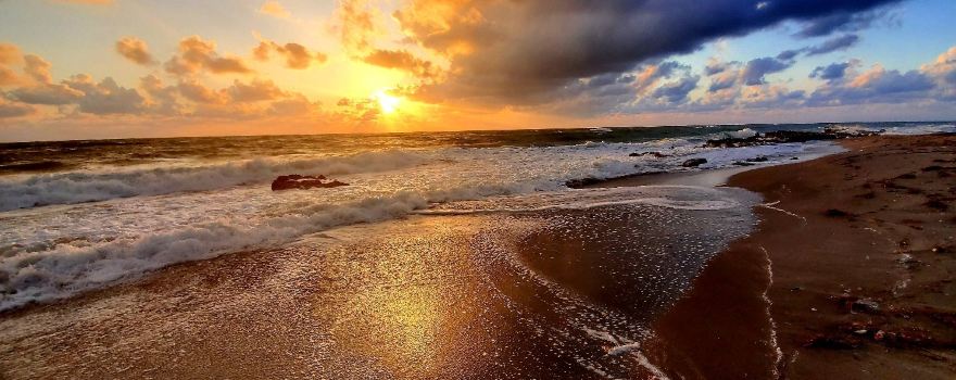 Coral Cove Park