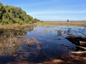 Fogg Dam Conservation Reserve