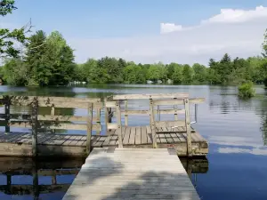 Interlake State Recreation Area