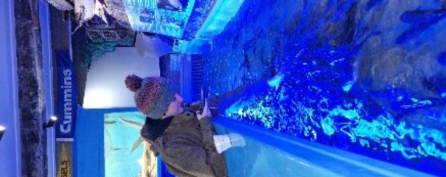 Lyme Regis Marine Aquarium